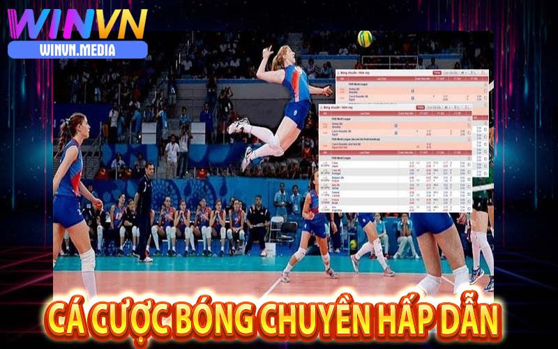 Tỷ lệ kèo cá cược bóng chuyền độc quyền tại winvn