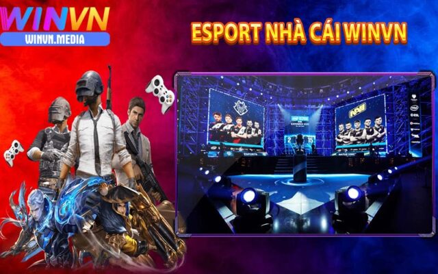 Cá cược esport nhà cái winvn liệu có uy tín