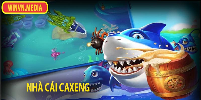 Giới thiệu chung về nhà cái caxeng